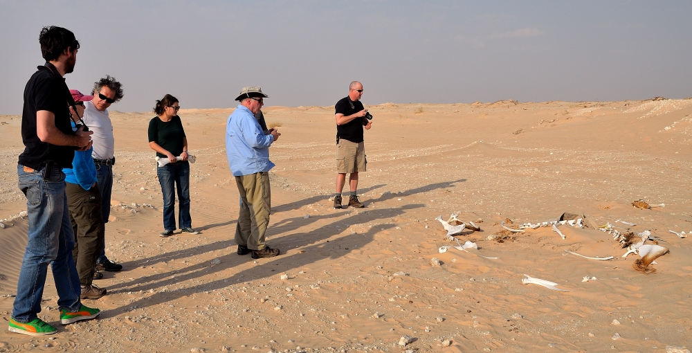 Photos/desert2012/DSC_2013.JPG